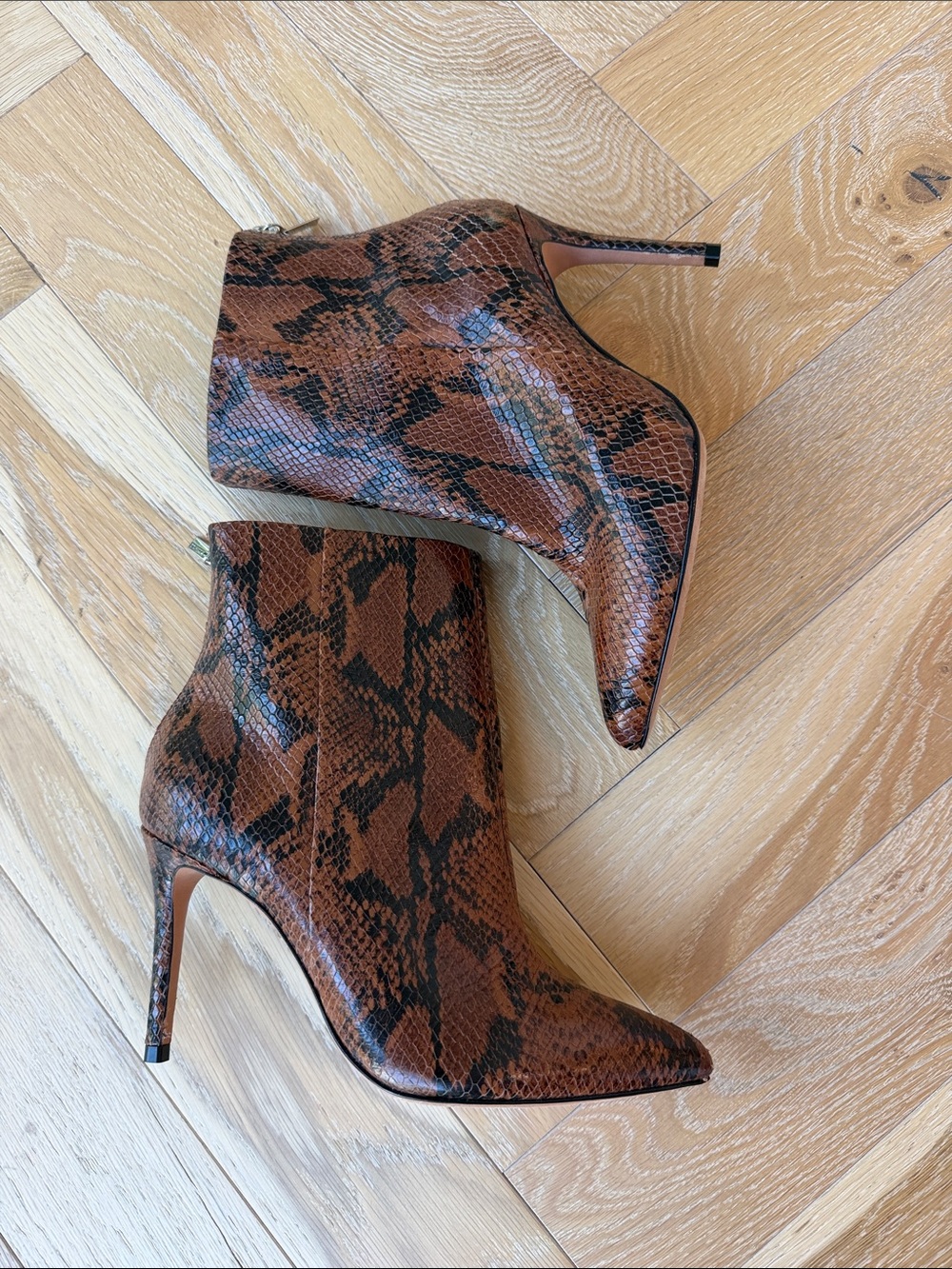 SCHUTZ Brown and Black Snake-Print Pointed Toe Stiletto Ankle Boots